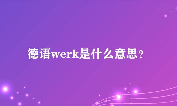 德语werk是什么意思？