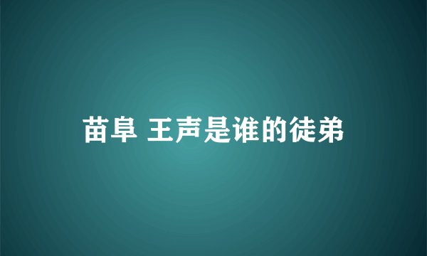 苗阜 王声是谁的徒弟
