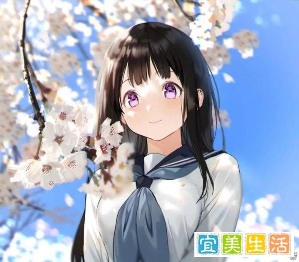世萌，日萌，B萌这些都是什么？2021年世萌看看你的老婆上榜了吗