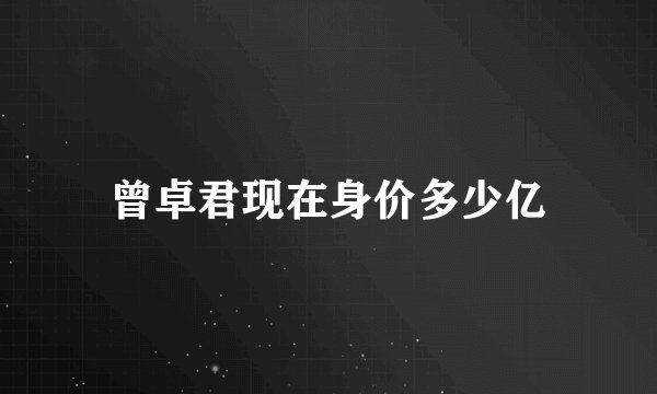 曾卓君现在身价多少亿