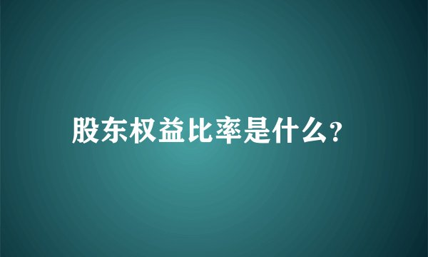 股东权益比率是什么？