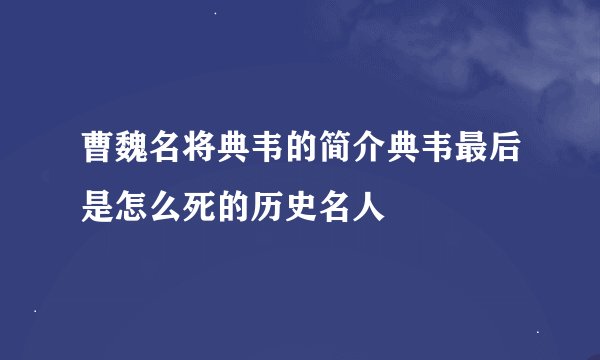 曹魏名将典韦的简介典韦最后是怎么死的历史名人