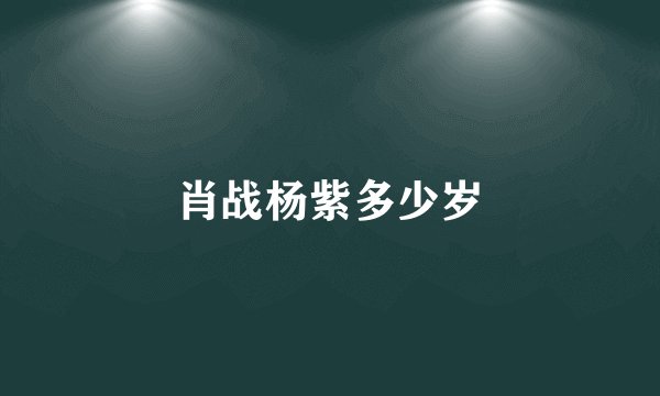 肖战杨紫多少岁