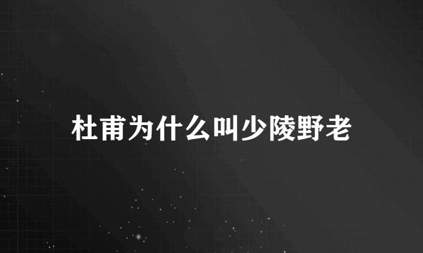 杜甫为什么叫少陵野老
