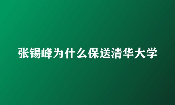 张锡峰为什么保送清华大学