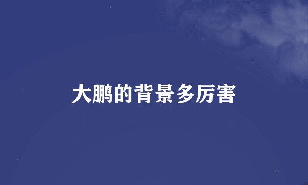 大鹏的背景多厉害