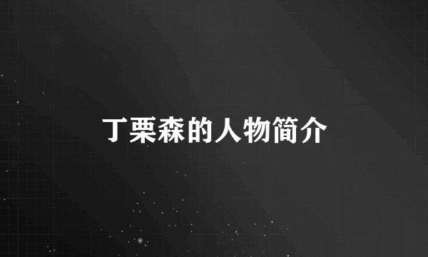 丁栗森的人物简介