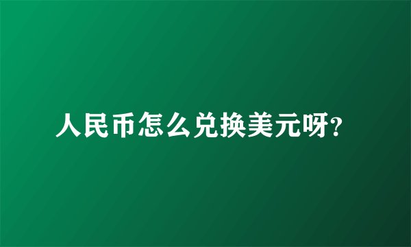 人民币怎么兑换美元呀？