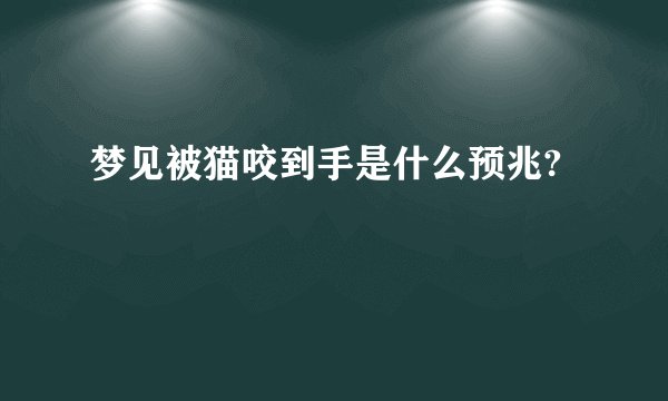 梦见被猫咬到手是什么预兆?