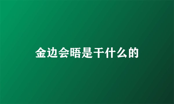 金边会晤是干什么的