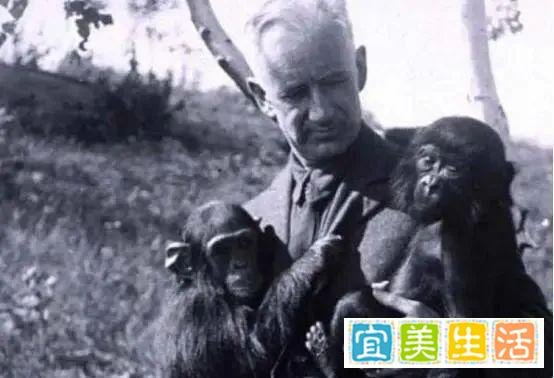 100年前，5名女性为科学献身，和黑猩猩杂交，后来怎么样了？
