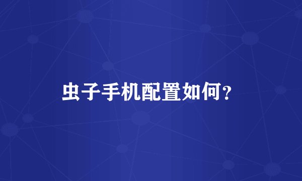 虫子手机配置如何？