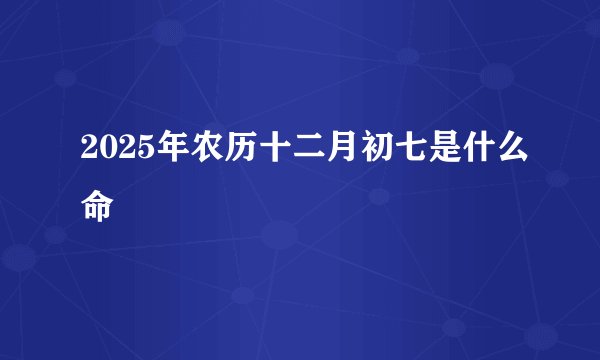 2025年农历十二月初七是什么命