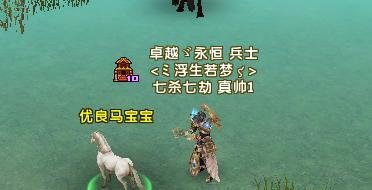 轩辕传奇商人篇之如何抓优良坐骑