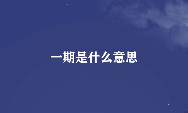 一期是什么意思