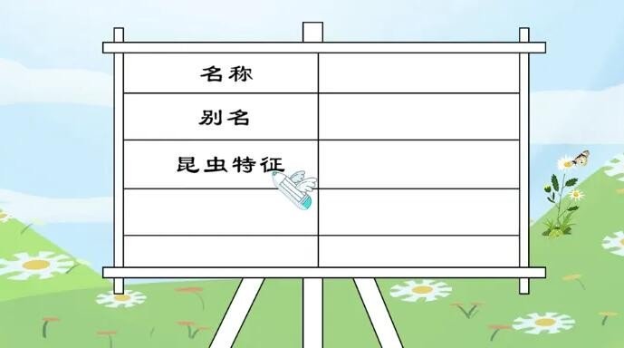 蝴蝶备忘录怎么写