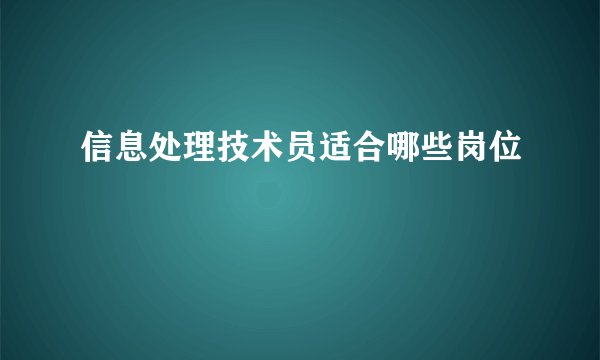 信息处理技术员适合哪些岗位
