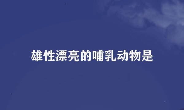 雄性漂亮的哺乳动物是