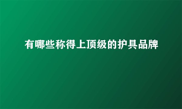 有哪些称得上顶级的护具品牌