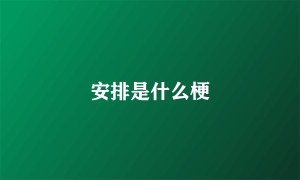 安排是什么梗