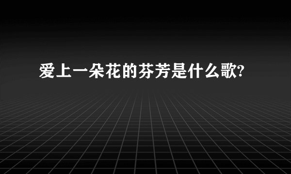 爱上一朵花的芬芳是什么歌?