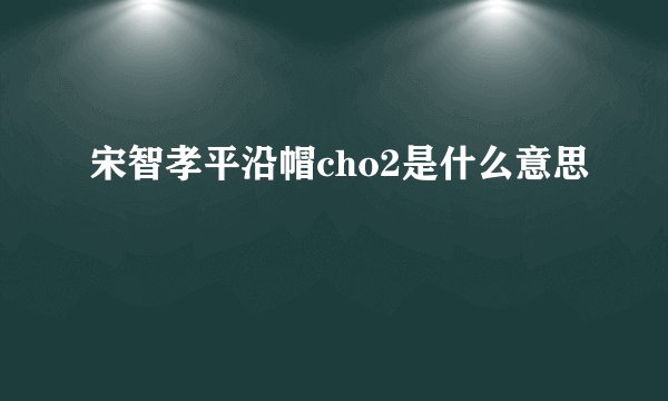 宋智孝平沿帽cho2是什么意思