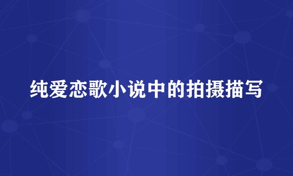 纯爱恋歌小说中的拍摄描写