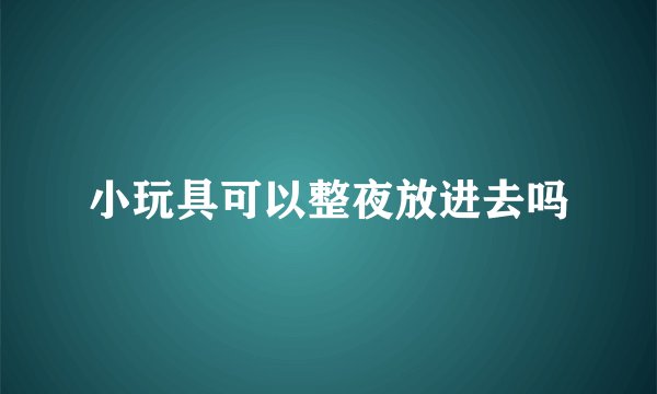 小玩具可以整夜放进去吗