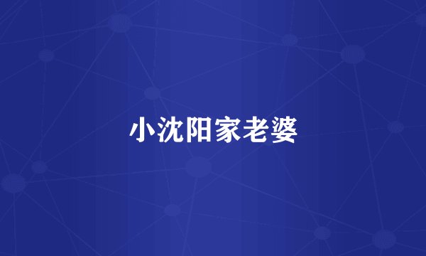 小沈阳家老婆