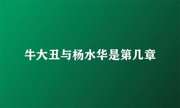 牛大丑与杨水华是第几章
