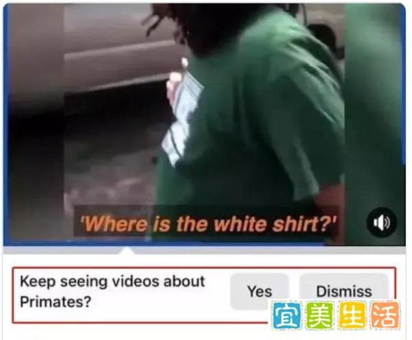 脸书 AI 识别误将黑人标记为「灵长类动物」