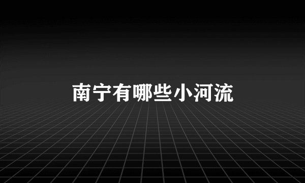 南宁有哪些小河流