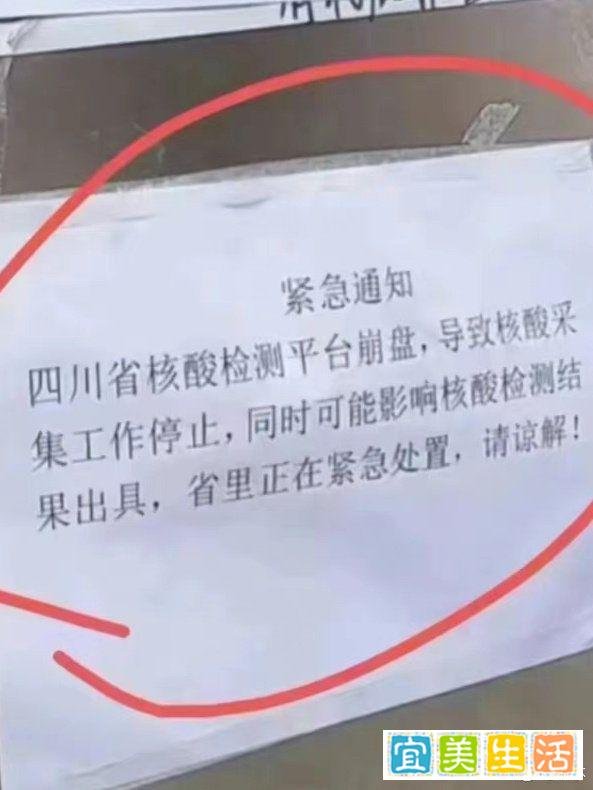 记录一下成都“8.29热带雨林购物节”事件