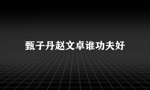 甄子丹赵文卓谁功夫好