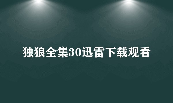 独狼全集30迅雷下载观看