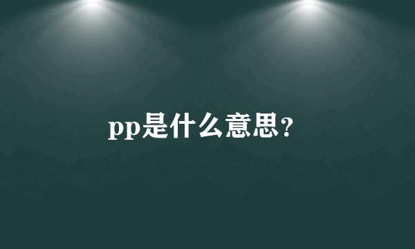 pp是什么意思？
