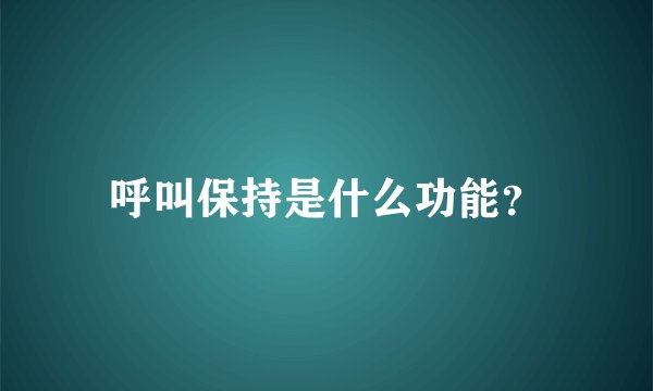 呼叫保持是什么功能？