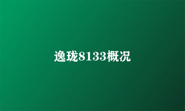 逸珑8133概况