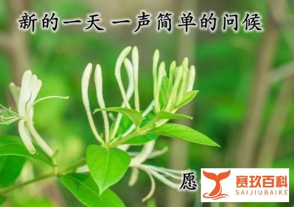 2021年5月24日星期一清晨早上好问候语图片 周一最新早安问候祝福图片带字温馨