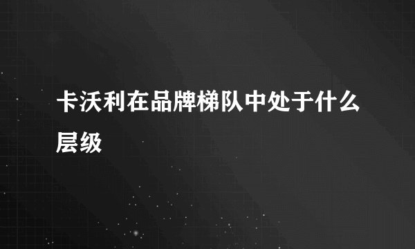 卡沃利在品牌梯队中处于什么层级