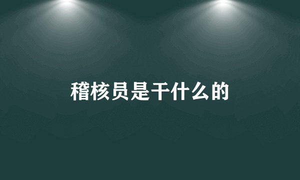 稽核员是干什么的