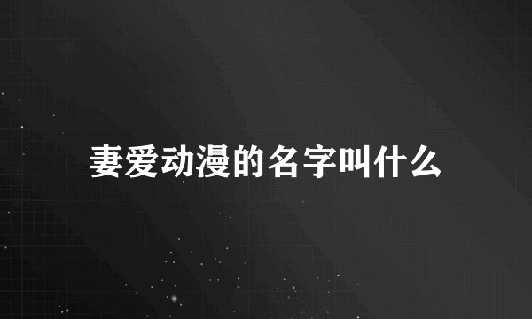 妻爱动漫的名字叫什么