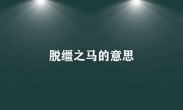 脱缰之马的意思