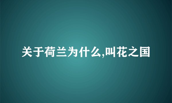 关于荷兰为什么,叫花之国