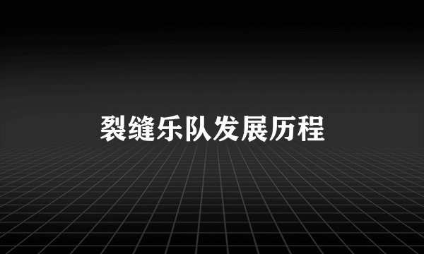 裂缝乐队发展历程