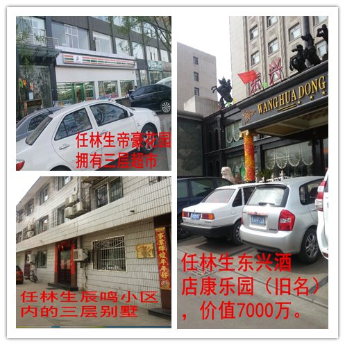 任林生的背后真相