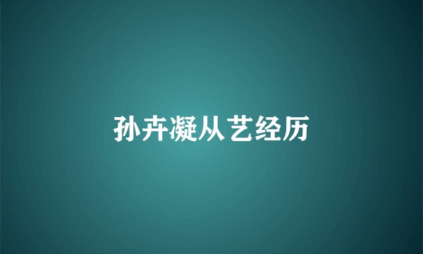 孙卉凝从艺经历
