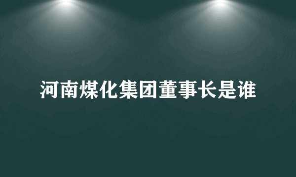 河南煤化集团董事长是谁