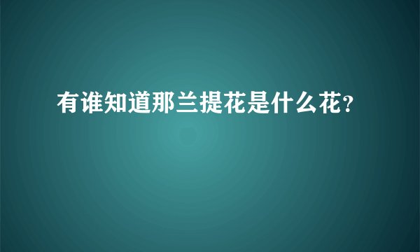 有谁知道那兰提花是什么花？