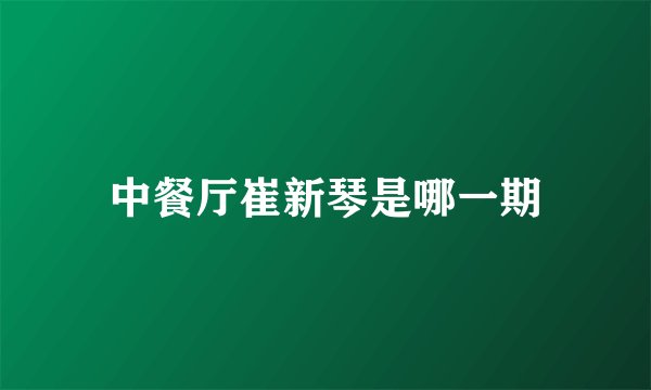 中餐厅崔新琴是哪一期